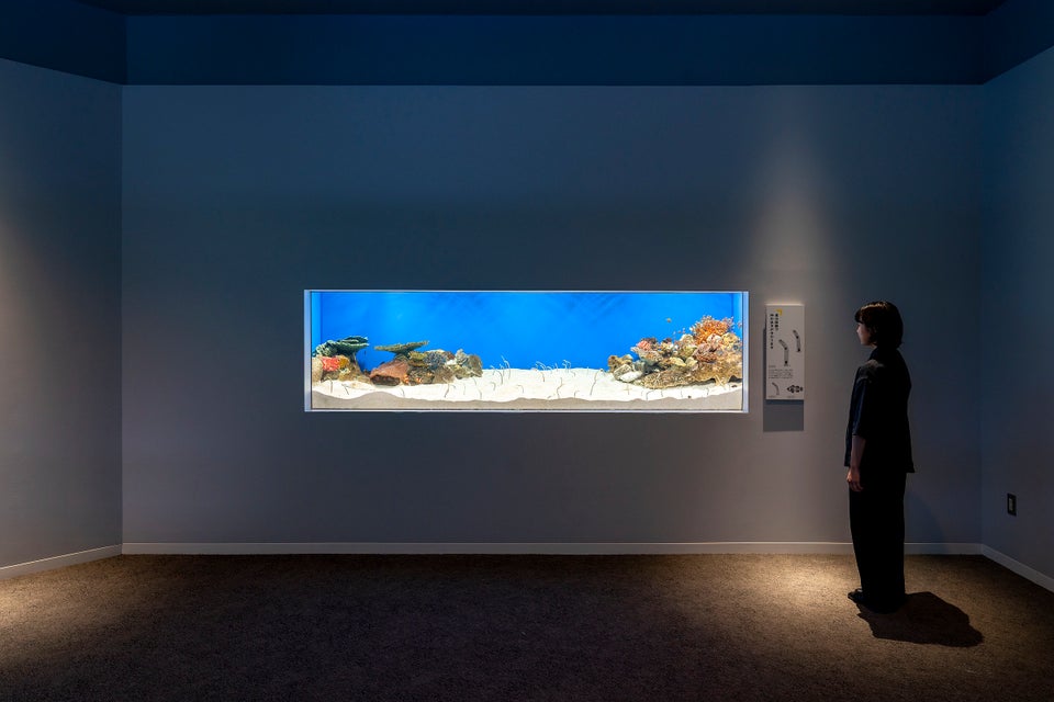 城崎海洋世界SeaZoo